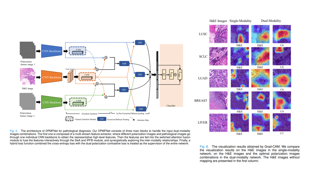 网络框架和部分实验结果